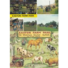 Easton Farm Park Wickham Market Zoo Suffolk 2x Postcard
