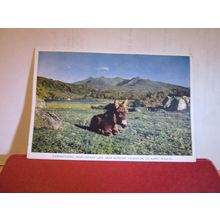 CARRANTUOHIL, GLENCAR, KILLORGLIN, Co. KERRY. used postcard 1953 pm =