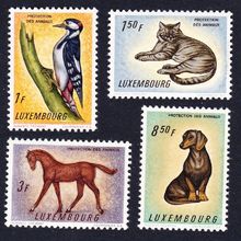 Luxembourg Woodpecker Bird Dachshund Dog Cat Horse Animals 4v 1961 MNH