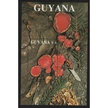 Guyana Fungi Mushrooms 'Sarcoscypha coccinea' MS 1989 MNH MI#Block 37 Sc#2011