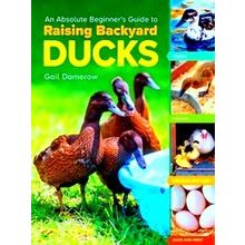 An Absolute Beginner's Guide To Raising Backyard Ducks