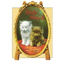 Cat Cats Romantic In Victorian Mirror Shoe Globe Polish Gloucester Rare Postcard