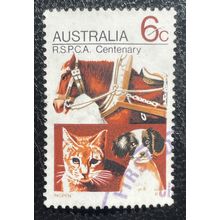 AUSTRALIA 1971 SG 0490 USED #1