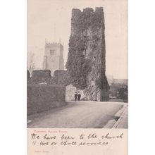 ED 371 PAIGNTON - PALACE TOWER . PRINTED POSTCARD