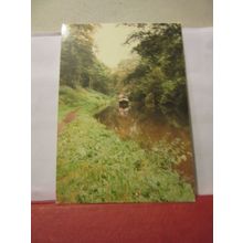 WOODSEAVES CUTTING, SHROPSHIRE UNION CANAL, used postcard /