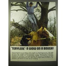 1966 Imperial Chemical Industries Terylene Ad - Terylene: A Wow on a Bough