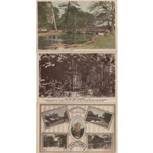 Greetings From Watford Bridge Fig Tree Herts 3x Old Postcard s