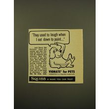 1961 Squibb Vionate for Pets Ad - They used to laugh when I sat down to point