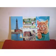 multiview, BLACKPOOL, LANCASHIRE. used postcard by Bamforth 1992 pm =
