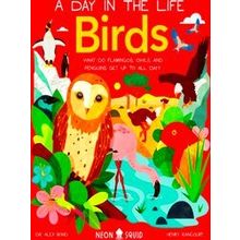 A Day In The Life Birds (A Day In The Life)