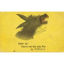 You're Mpt The Only Ass Antique Donkey Comic Postcard