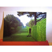 THE LONG WALK, HIDCOTE MANOR GARDENS unused postcard National Trust #