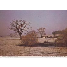 Winter Scene at Heydon Cambridge Village Womens Institute Postcard