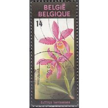 Belgique 1990 Michel 2410 O Cote (2008) 0.30 € Rose-lilas Cattleya Harissoniana