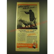 1950 Gaines Dog Food Ad - When action hits its peak