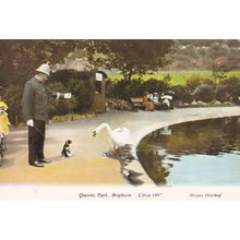 Queens Park Brighton With Policeman & Dog Postcard