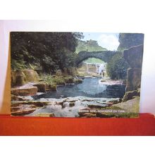 JESMOND DENE, , NEWCASTLE ON TYNE unused antique postcard #