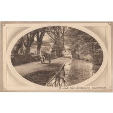 Holdenhurst Bournemouth A Shady Lane Portrait Style Old Postcard