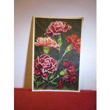 GARDEN PINK, flowers Swiss unused postcard =