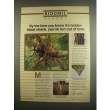 1984 Ciba-Geigy Ridomil Ad - Hidden Black Shank