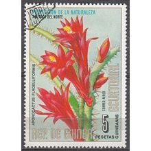 Guinea Ecuatorial 1974 Michel 431 O Cote (2002) 0.25 € Cactus queue-de-rat