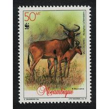 Mozambique WWF Two Hartebeest 50m 1991 MNH SG#1294 MI#1231 Sc#1141