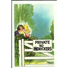 BAMFORTH COMIC "Private" Postcard (No.461)