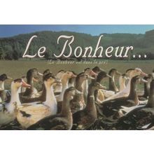 Michel Serrault Le Bonheur French Comedy Film Advertising Postcard