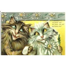 Art CATS IN LOVE Postcard (Mayfair 236)