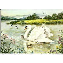 Art HELEN BABINGTON The River In Summertime Postcard (Medici 2024)