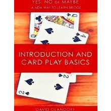 Yes, No Or Maybe: A New Way To Learn Bridge Ynm