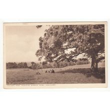 Fowler's Park Adjoining Queen's Hotel Hawkhurst Postcard Kent