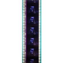 Pk GEB - B - MIX - A 015o. 1 STRIP OF 5 - 35MM FILM CELLS. ( AVP )