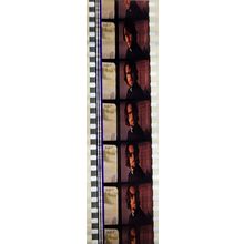 VAMPIRES. Pk MTP - A025Y . 1 STRIP OF 5 - 35MM FILM CELLS. MTP