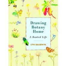Drawing Botany Home - Lyn Baldwin