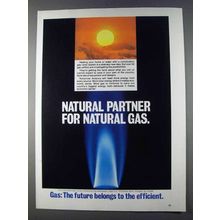 1980 AGA American Gas Association Ad - Partner