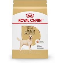 Royal Canin Labrador Retriever Adult Dry Dog Food, 30 Lb Bag