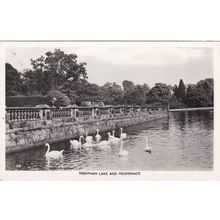 TRENTHAM LAKE AND PROMENADE. RP POSTCARD. ED524