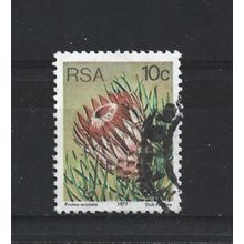 SouthAfrica.SG423 10c Protea Aristata.Fine Used.Sep25x