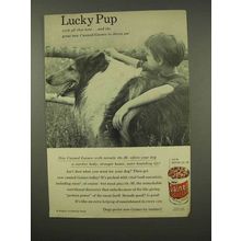 1956 Gaines Dog Food Ad - Lucky Pup