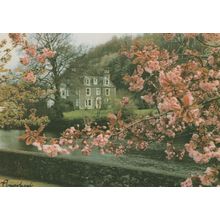 Flowerbank Guest House Minnigaff Scottish Wigtownshire Postcard