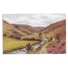 The Doone Glen, Lynton, Devon, Postcard.