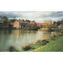 Grewelthorpe Pond River Yorkshire Postcard