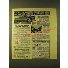1956 Green Beauty Zoysia Grass Ad - U.S. Dept. of agriculture