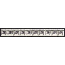 2124a 4.9c Buckboard Fine MNH Dry Gum PNC 1/10 Gap 2R L02934