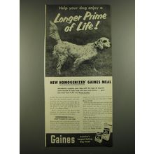 1952 Gaines Dog Food Ad - Help your dog enjoy a Longer Prime of Life