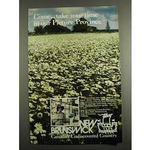 1972 New Brunswick Canada Ad - Come Take your time in our picture province
