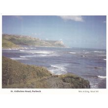 St Aldhelms Head Purbeck Dorset Postcard