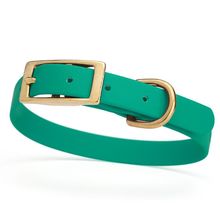 Dog Pet Collar with Brass Hardware Size S W 5/8” L 12” - 15” Teal
