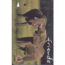 Friends 2 Elephant S'pore Transitlink Train/Bus Card